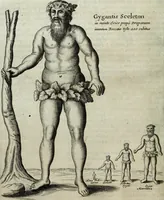 Picture 241 of 373 from Mundus Subterraneus, in XII libros digestus; quo divinum subterrestris mundi opificium, mira ergasteriorum naturæ in eo distributio, verbo pantámorphou Protei regnum, universæ denique naturæ majestas (1665), leaf 491