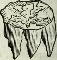 An illustration from Mundus Subterraneus, in XII libros digestus; quo divinum subterrestris mundi opificium, mira ergasteriorum naturæ in eo distributio, verbo pantámorphou Protei regnum, universæ denique naturæ majestas (1665)