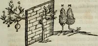 Picture 37 of 373 from Mundus Subterraneus, in XII libros digestus; quo divinum subterrestris mundi opificium, mira ergasteriorum naturæ in eo distributio, verbo pantámorphou Protei regnum, universæ denique naturæ majestas (1665), leaf 52