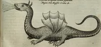 An illustration from Mundus Subterraneus, in XII libros digestus; quo divinum subterrestris mundi opificium, mira ergasteriorum naturæ in eo distributio, verbo pantámorphou Protei regnum, universæ denique naturæ majestas (1665)