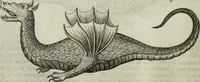 An illustration from Mundus Subterraneus, in XII libros digestus; quo divinum subterrestris mundi opificium, mira ergasteriorum naturæ in eo distributio, verbo pantámorphou Protei regnum, universæ denique naturæ majestas (1665)