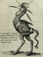 An illustration from Mundus Subterraneus, in XII libros digestus; quo divinum subterrestris mundi opificium, mira ergasteriorum naturæ in eo distributio, verbo pantámorphou Protei regnum, universæ denique naturæ majestas (1665)