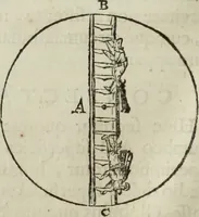 An illustration from Mundus Subterraneus, in XII libros digestus; quo divinum subterrestris mundi opificium, mira ergasteriorum naturæ in eo distributio, verbo pantámorphou Protei regnum, universæ denique naturæ majestas (1665)
