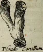 An illustration from Mundus Subterraneus, in XII libros digestus; quo divinum subterrestris mundi opificium, mira ergasteriorum naturæ in eo distributio, verbo pantámorphou Protei regnum, universæ denique naturæ majestas (1665)