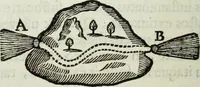 Picture 268 of 373 from Mundus Subterraneus, in XII libros digestus; quo divinum subterrestris mundi opificium, mira ergasteriorum naturæ in eo distributio, verbo pantámorphou Protei regnum, universæ denique naturæ majestas (1665), leaf 613