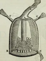 Picture 269 of 373 from Mundus Subterraneus, in XII libros digestus; quo divinum subterrestris mundi opificium, mira ergasteriorum naturæ in eo distributio, verbo pantámorphou Protei regnum, universæ denique naturæ majestas (1665), leaf 613