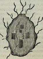 Picture 272 of 373 from Mundus Subterraneus, in XII libros digestus; quo divinum subterrestris mundi opificium, mira ergasteriorum naturæ in eo distributio, verbo pantámorphou Protei regnum, universæ denique naturæ majestas (1665), leaf 626