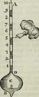 Picture 287 of 373 from Mundus Subterraneus, in XII libros digestus; quo divinum subterrestris mundi opificium, mira ergasteriorum naturæ in eo distributio, verbo pantámorphou Protei regnum, universæ denique naturæ majestas (1665), leaf 663