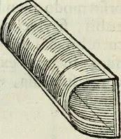An illustration from Mundus Subterraneus, in XII libros digestus; quo divinum subterrestris mundi opificium, mira ergasteriorum naturæ in eo distributio, verbo pantámorphou Protei regnum, universæ denique naturæ majestas (1665)