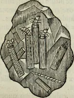 Picture 314 of 373 from Mundus Subterraneus, in XII libros digestus; quo divinum subterrestris mundi opificium, mira ergasteriorum naturæ in eo distributio, verbo pantámorphou Protei regnum, universæ denique naturæ majestas (1665), leaf 804