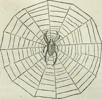 An illustration from Mundus Subterraneus, in XII libros digestus; quo divinum subterrestris mundi opificium, mira ergasteriorum naturæ in eo distributio, verbo pantámorphou Protei regnum, universæ denique naturæ majestas (1665)