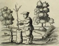 An illustration from Mundus Subterraneus, in XII libros digestus; quo divinum subterrestris mundi opificium, mira ergasteriorum naturæ in eo distributio, verbo pantámorphou Protei regnum, universæ denique naturæ majestas (1665)