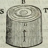 Picture 348 of 373 from Mundus Subterraneus, in XII libros digestus; quo divinum subterrestris mundi opificium, mira ergasteriorum naturæ in eo distributio, verbo pantámorphou Protei regnum, universæ denique naturæ majestas (1665), leaf 869