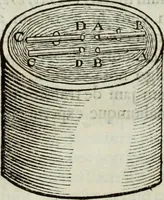 An illustration from Mundus Subterraneus, in XII libros digestus; quo divinum subterrestris mundi opificium, mira ergasteriorum naturæ in eo distributio, verbo pantámorphou Protei regnum, universæ denique naturæ majestas (1665)