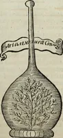 An illustration from Mundus Subterraneus, in XII libros digestus; quo divinum subterrestris mundi opificium, mira ergasteriorum naturæ in eo distributio, verbo pantámorphou Protei regnum, universæ denique naturæ majestas (1665)