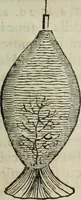 An illustration from Mundus Subterraneus, in XII libros digestus; quo divinum subterrestris mundi opificium, mira ergasteriorum naturæ in eo distributio, verbo pantámorphou Protei regnum, universæ denique naturæ majestas (1665)