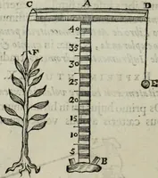 Picture 361 of 373 from Mundus Subterraneus, in XII libros digestus; quo divinum subterrestris mundi opificium, mira ergasteriorum naturæ in eo distributio, verbo pantámorphou Protei regnum, universæ denique naturæ majestas (1665), leaf 906