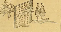 Picture 20 of 319 from Mundus subterraneus, in XII libros digestus : qvo divinum subterrestris mundi opificium, mira ergasteriorum naturae in eo distributio, verbo [pantamorphon] Protei regnum, universae denique naturae majestas & divitiae summa rerum varietate exponuntur, abditorum effectuum causae acri indagine inquistae demonstrantur, cognitae per artis & naturae conjugium ad humanae vitae necessarium usum vario experimentorum apparata, necnon novo modo & ratione applicantur. Ad Alexandrum VII. pont. opt. max. (1678), leaf 36