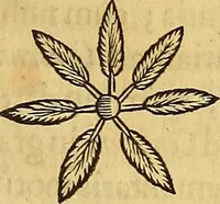 An illustration from Mundus subterraneus, in XII libros digestus : qvo divinum subterrestris mundi opificium, mira ergasteriorum naturae in eo distributio, verbo [pantamorphon] Protei regnum, universae denique naturae majestas & divitiae summa rerum varietate exponuntur, abditorum effectuum causae acri indagine inquistae demonstrantur, cognitae per artis & naturae conjugium ad humanae vitae necessarium usum vario experimentorum apparata, necnon novo modo & ratione applicantur. Ad Alexandrum VII. pont. opt. max. (1678)
