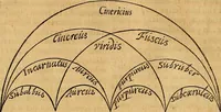 An illustration from Mundus subterraneus, in XII libros digestus : qvo divinum subterrestris mundi opificium, mira ergasteriorum naturae in eo distributio, verbo [pantamorphon] Protei regnum, universae denique naturae majestas & divitiae summa rerum varietate exponuntur, abditorum effectuum causae acri indagine inquistae demonstrantur, cognitae per artis & naturae conjugium ad humanae vitae necessarium usum vario experimentorum apparata, necnon novo modo & ratione applicantur. Ad Alexandrum VII. pont. opt. max. (1678)
