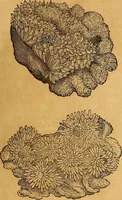 An illustration from Mundus subterraneus, in XII libros digestus : qvo divinum subterrestris mundi opificium, mira ergasteriorum naturae in eo distributio, verbo [pantamorphon] Protei regnum, universae denique naturae majestas & divitiae summa rerum varietate exponuntur, abditorum effectuum causae acri indagine inquistae demonstrantur, cognitae per artis & naturae conjugium ad humanae vitae necessarium usum vario experimentorum apparata, necnon novo modo & ratione applicantur. Ad Alexandrum VII. pont. opt. max. (1678)