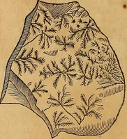 An illustration from Mundus subterraneus, in XII libros digestus : qvo divinum subterrestris mundi opificium, mira ergasteriorum naturae in eo distributio, verbo [pantamorphon] Protei regnum, universae denique naturae majestas & divitiae summa rerum varietate exponuntur, abditorum effectuum causae acri indagine inquistae demonstrantur, cognitae per artis & naturae conjugium ad humanae vitae necessarium usum vario experimentorum apparata, necnon novo modo & ratione applicantur. Ad Alexandrum VII. pont. opt. max. (1678)