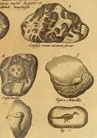 An illustration from Mundus subterraneus, in XII libros digestus : qvo divinum subterrestris mundi opificium, mira ergasteriorum naturae in eo distributio, verbo [pantamorphon] Protei regnum, universae denique naturae majestas & divitiae summa rerum varietate exponuntur, abditorum effectuum causae acri indagine inquistae demonstrantur, cognitae per artis & naturae conjugium ad humanae vitae necessarium usum vario experimentorum apparata, necnon novo modo & ratione applicantur. Ad Alexandrum VII. pont. opt. max. (1678)