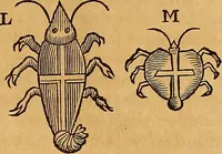 An illustration from Mundus subterraneus, in XII libros digestus : qvo divinum subterrestris mundi opificium, mira ergasteriorum naturae in eo distributio, verbo [pantamorphon] Protei regnum, universae denique naturae majestas & divitiae summa rerum varietate exponuntur, abditorum effectuum causae acri indagine inquistae demonstrantur, cognitae per artis & naturae conjugium ad humanae vitae necessarium usum vario experimentorum apparata, necnon novo modo & ratione applicantur. Ad Alexandrum VII. pont. opt. max. (1678)