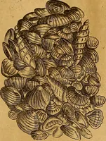 An illustration from Mundus subterraneus, in XII libros digestus : qvo divinum subterrestris mundi opificium, mira ergasteriorum naturae in eo distributio, verbo [pantamorphon] Protei regnum, universae denique naturae majestas & divitiae summa rerum varietate exponuntur, abditorum effectuum causae acri indagine inquistae demonstrantur, cognitae per artis & naturae conjugium ad humanae vitae necessarium usum vario experimentorum apparata, necnon novo modo & ratione applicantur. Ad Alexandrum VII. pont. opt. max. (1678)