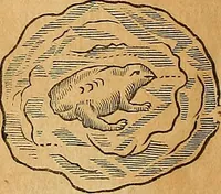 Picture 209 of 319 from Mundus subterraneus, in XII libros digestus : qvo divinum subterrestris mundi opificium, mira ergasteriorum naturae in eo distributio, verbo [pantamorphon] Protei regnum, universae denique naturae majestas & divitiae summa rerum varietate exponuntur, abditorum effectuum causae acri indagine inquistae demonstrantur, cognitae per artis & naturae conjugium ad humanae vitae necessarium usum vario experimentorum apparata, necnon novo modo & ratione applicantur. Ad Alexandrum VII. pont. opt. max. (1678), leaf 495
