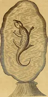 An illustration from Mundus subterraneus, in XII libros digestus : qvo divinum subterrestris mundi opificium, mira ergasteriorum naturae in eo distributio, verbo [pantamorphon] Protei regnum, universae denique naturae majestas & divitiae summa rerum varietate exponuntur, abditorum effectuum causae acri indagine inquistae demonstrantur, cognitae per artis & naturae conjugium ad humanae vitae necessarium usum vario experimentorum apparata, necnon novo modo & ratione applicantur. Ad Alexandrum VII. pont. opt. max. (1678)