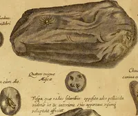 An illustration from Mundus subterraneus, in XII libros digestus : qvo divinum subterrestris mundi opificium, mira ergasteriorum naturae in eo distributio, verbo [pantamorphon] Protei regnum, universae denique naturae majestas & divitiae summa rerum varietate exponuntur, abditorum effectuum causae acri indagine inquistae demonstrantur, cognitae per artis & naturae conjugium ad humanae vitae necessarium usum vario experimentorum apparata, necnon novo modo & ratione applicantur. Ad Alexandrum VII. pont. opt. max. (1678)