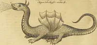 An illustration from Mundus subterraneus, in XII libros digestus : qvo divinum subterrestris mundi opificium, mira ergasteriorum naturae in eo distributio, verbo [pantamorphon] Protei regnum, universae denique naturae majestas & divitiae summa rerum varietate exponuntur, abditorum effectuum causae acri indagine inquistae demonstrantur, cognitae per artis & naturae conjugium ad humanae vitae necessarium usum vario experimentorum apparata, necnon novo modo & ratione applicantur. Ad Alexandrum VII. pont. opt. max. (1678)