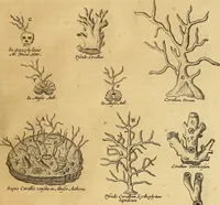An illustration from Mundus subterraneus, in XII libros digestus : qvo divinum subterrestris mundi opificium, mira ergasteriorum naturae in eo distributio, verbo [pantamorphon] Protei regnum, universae denique naturae majestas & divitiae summa rerum varietate exponuntur, abditorum effectuum causae acri indagine inquistae demonstrantur, cognitae per artis & naturae conjugium ad humanae vitae necessarium usum vario experimentorum apparata, necnon novo modo & ratione applicantur. Ad Alexandrum VII. pont. opt. max. (1678)