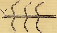 An illustration from Mundus subterraneus, in XII libros digestus : qvo divinum subterrestris mundi opificium, mira ergasteriorum naturae in eo distributio, verbo [pantamorphon] Protei regnum, universae denique naturae majestas & divitiae summa rerum varietate exponuntur, abditorum effectuum causae acri indagine inquistae demonstrantur, cognitae per artis & naturae conjugium ad humanae vitae necessarium usum vario experimentorum apparata, necnon novo modo & ratione applicantur. Ad Alexandrum VII. pont. opt. max. (1678)