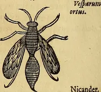 An illustration from Mundus subterraneus, in XII libros digestus : qvo divinum subterrestris mundi opificium, mira ergasteriorum naturae in eo distributio, verbo [pantamorphon] Protei regnum, universae denique naturae majestas & divitiae summa rerum varietate exponuntur, abditorum effectuum causae acri indagine inquistae demonstrantur, cognitae per artis & naturae conjugium ad humanae vitae necessarium usum vario experimentorum apparata, necnon novo modo & ratione applicantur. Ad Alexandrum VII. pont. opt. max. (1678)