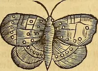 An illustration from Mundus subterraneus, in XII libros digestus : qvo divinum subterrestris mundi opificium, mira ergasteriorum naturae in eo distributio, verbo [pantamorphon] Protei regnum, universae denique naturae majestas & divitiae summa rerum varietate exponuntur, abditorum effectuum causae acri indagine inquistae demonstrantur, cognitae per artis & naturae conjugium ad humanae vitae necessarium usum vario experimentorum apparata, necnon novo modo & ratione applicantur. Ad Alexandrum VII. pont. opt. max. (1678)
