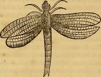 An illustration from Mundus subterraneus, in XII libros digestus : qvo divinum subterrestris mundi opificium, mira ergasteriorum naturae in eo distributio, verbo [pantamorphon] Protei regnum, universae denique naturae majestas & divitiae summa rerum varietate exponuntur, abditorum effectuum causae acri indagine inquistae demonstrantur, cognitae per artis & naturae conjugium ad humanae vitae necessarium usum vario experimentorum apparata, necnon novo modo & ratione applicantur. Ad Alexandrum VII. pont. opt. max. (1678)