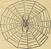 An illustration from Mundus subterraneus, in XII libros digestus : qvo divinum subterrestris mundi opificium, mira ergasteriorum naturae in eo distributio, verbo [pantamorphon] Protei regnum, universae denique naturae majestas & divitiae summa rerum varietate exponuntur, abditorum effectuum causae acri indagine inquistae demonstrantur, cognitae per artis & naturae conjugium ad humanae vitae necessarium usum vario experimentorum apparata, necnon novo modo & ratione applicantur. Ad Alexandrum VII. pont. opt. max. (1678)