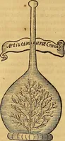 An illustration from Mundus subterraneus, in XII libros digestus : qvo divinum subterrestris mundi opificium, mira ergasteriorum naturae in eo distributio, verbo [pantamorphon] Protei regnum, universae denique naturae majestas & divitiae summa rerum varietate exponuntur, abditorum effectuum causae acri indagine inquistae demonstrantur, cognitae per artis & naturae conjugium ad humanae vitae necessarium usum vario experimentorum apparata, necnon novo modo & ratione applicantur. Ad Alexandrum VII. pont. opt. max. (1678)