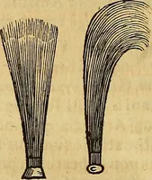Picture 309 of 319 from Mundus subterraneus, in XII libros digestus : qvo divinum subterrestris mundi opificium, mira ergasteriorum naturae in eo distributio, verbo [pantamorphon] Protei regnum, universae denique naturae majestas & divitiae summa rerum varietate exponuntur, abditorum effectuum causae acri indagine inquistae demonstrantur, cognitae per artis & naturae conjugium ad humanae vitae necessarium usum vario experimentorum apparata, necnon novo modo & ratione applicantur. Ad Alexandrum VII. pont. opt. max. (1678), leaf 939