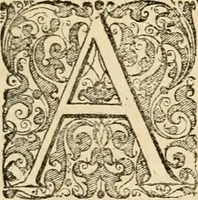 Picture 49 of 72 from Mundus symbolicus, in emblematum universitate formatus, explicatus, et tam sacris, quàm profanis eruditionibus ac sententiis illustratus : subministrans oratoribus, praedicatoribus, academicis, poetis &c. innumera conceptuum argumenta (1687), leaf 890