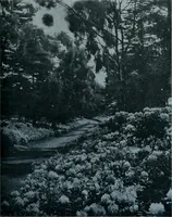 Picture 14 of 123 from Municipal record (1908), leaf 234