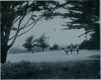 Picture 21 of 123 from Municipal record (1908), leaf 241