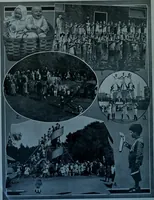 Picture 24 of 123 from Municipal record (1908), leaf 245