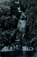 Picture 29 of 123 from Municipal record (1908), leaf 272