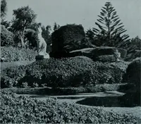 Picture 38 of 123 from Municipal record (1908), leaf 282