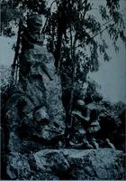 Picture 40 of 123 from Municipal record (1908), leaf 283