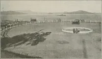 Picture 9 of 22 from Municipal record (1908), leaf 135