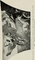 Picture 42 of 50 from Mural painting in America; the Scammon lectures, delivered before the Art institute of Chicago, March, 1912, and since greatly enlarged, by Edwin Howland Blashfield; (1913), leaf 352